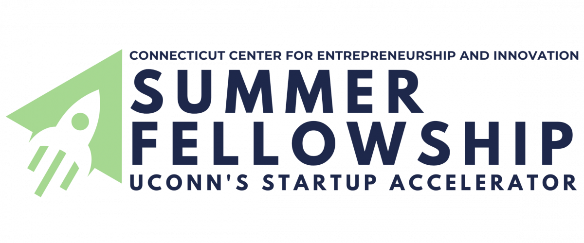 ccei summer fellowship logo